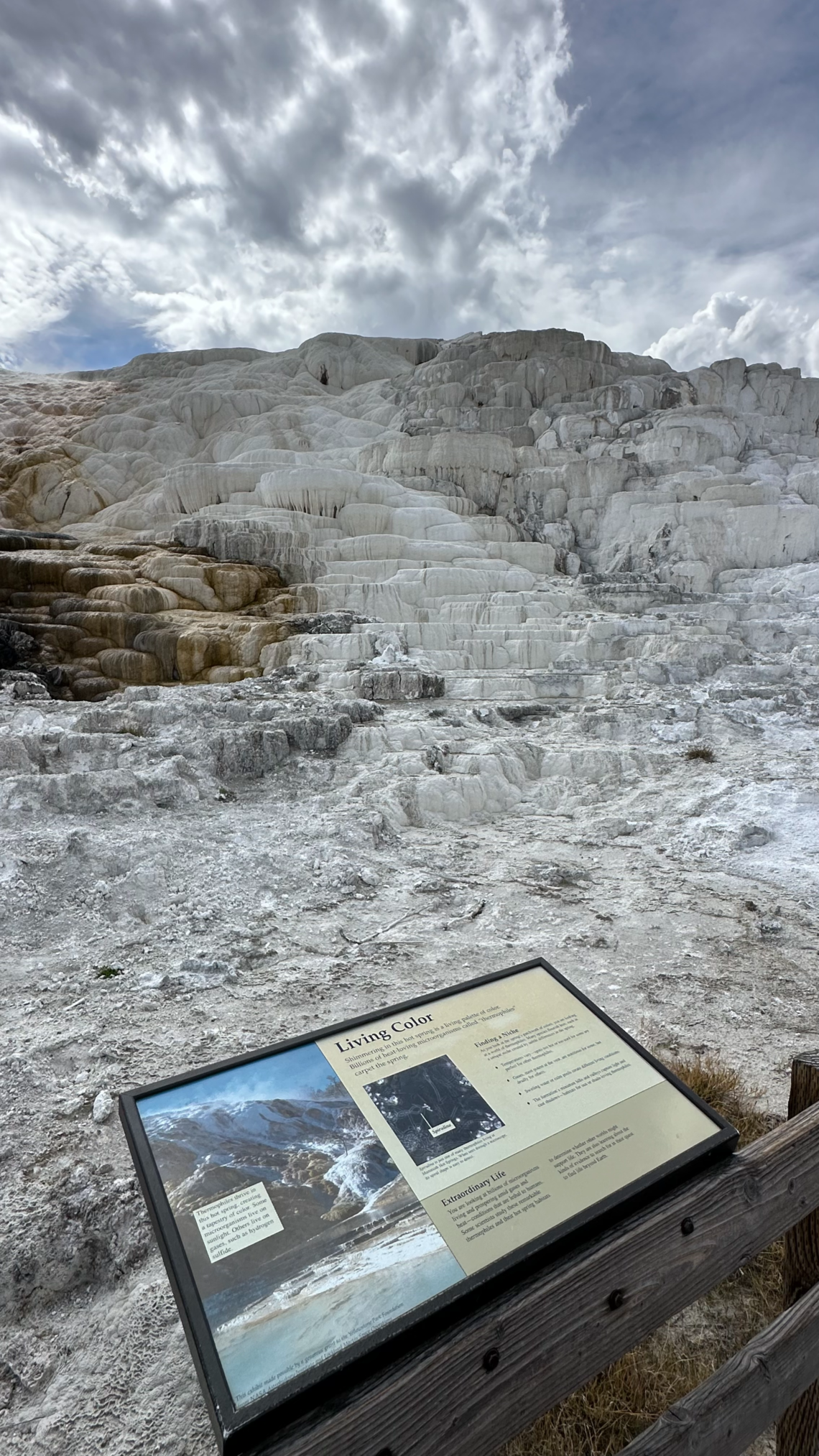 Kako se zaljubiti u Ameriku
