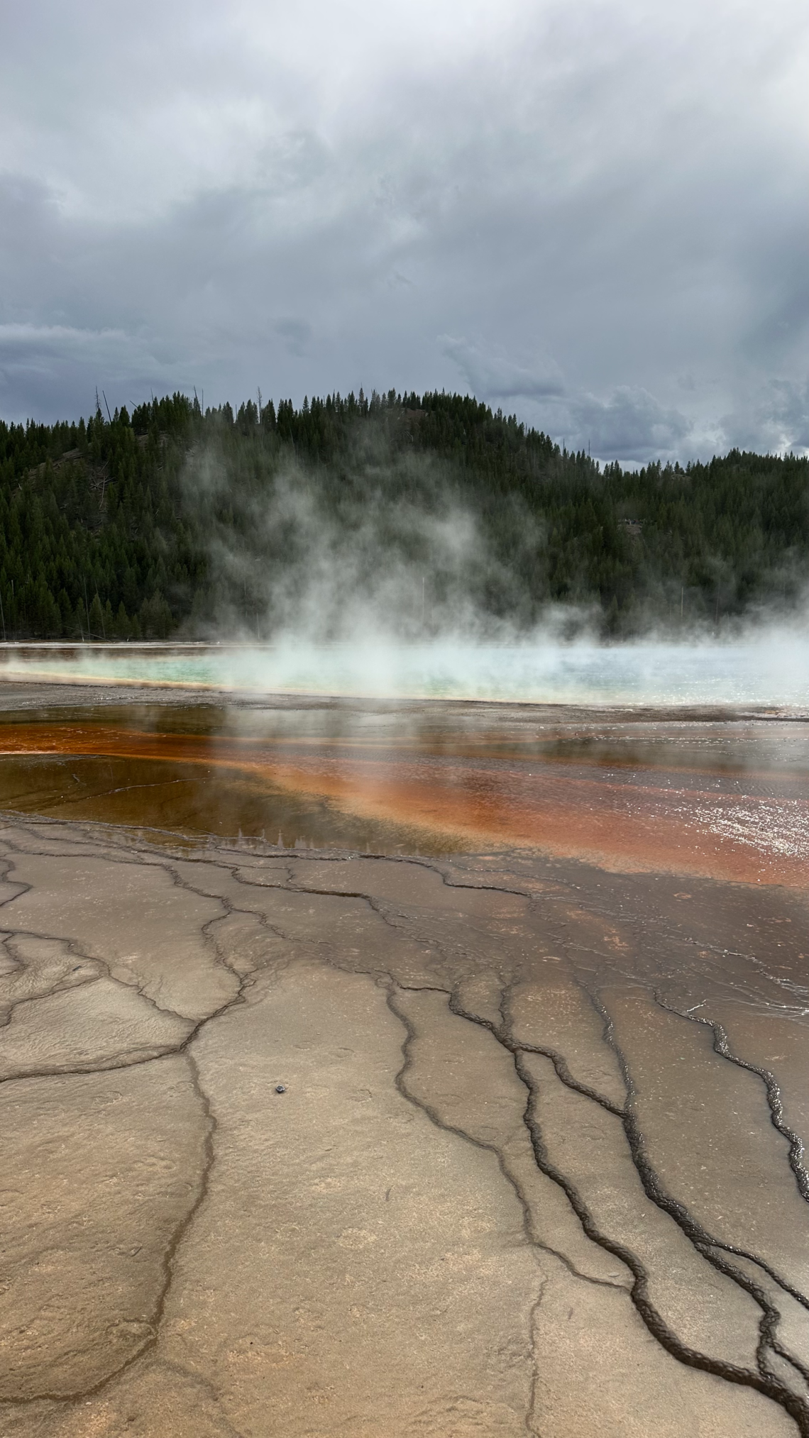 Kako se zaljubiti u Ameriku