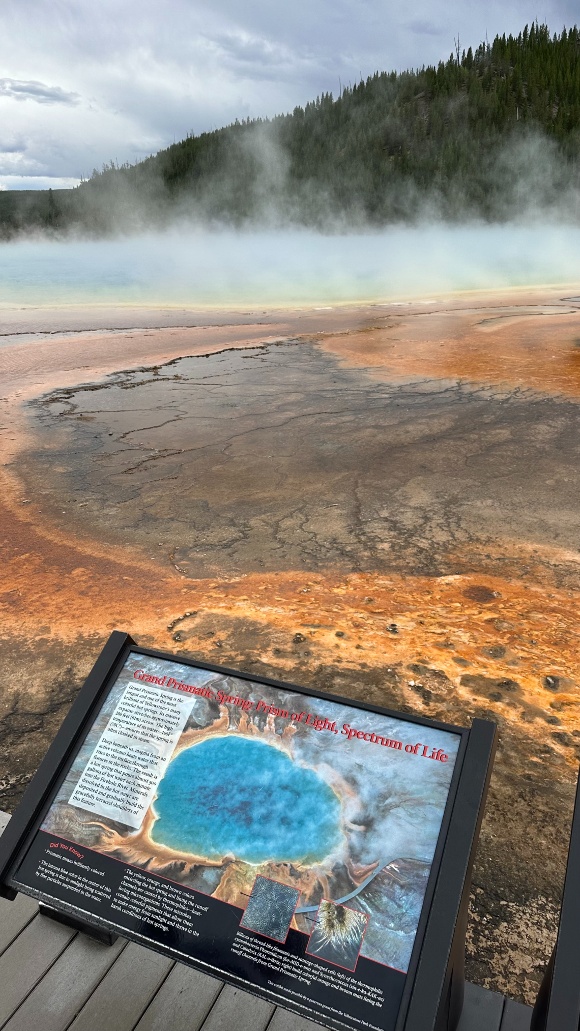 Kako se zaljubiti u Ameriku