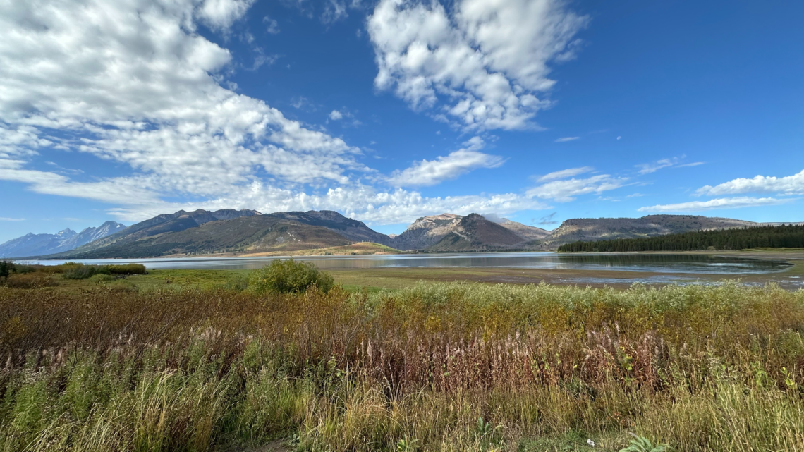 Kako se zaljubiti u Ameriku