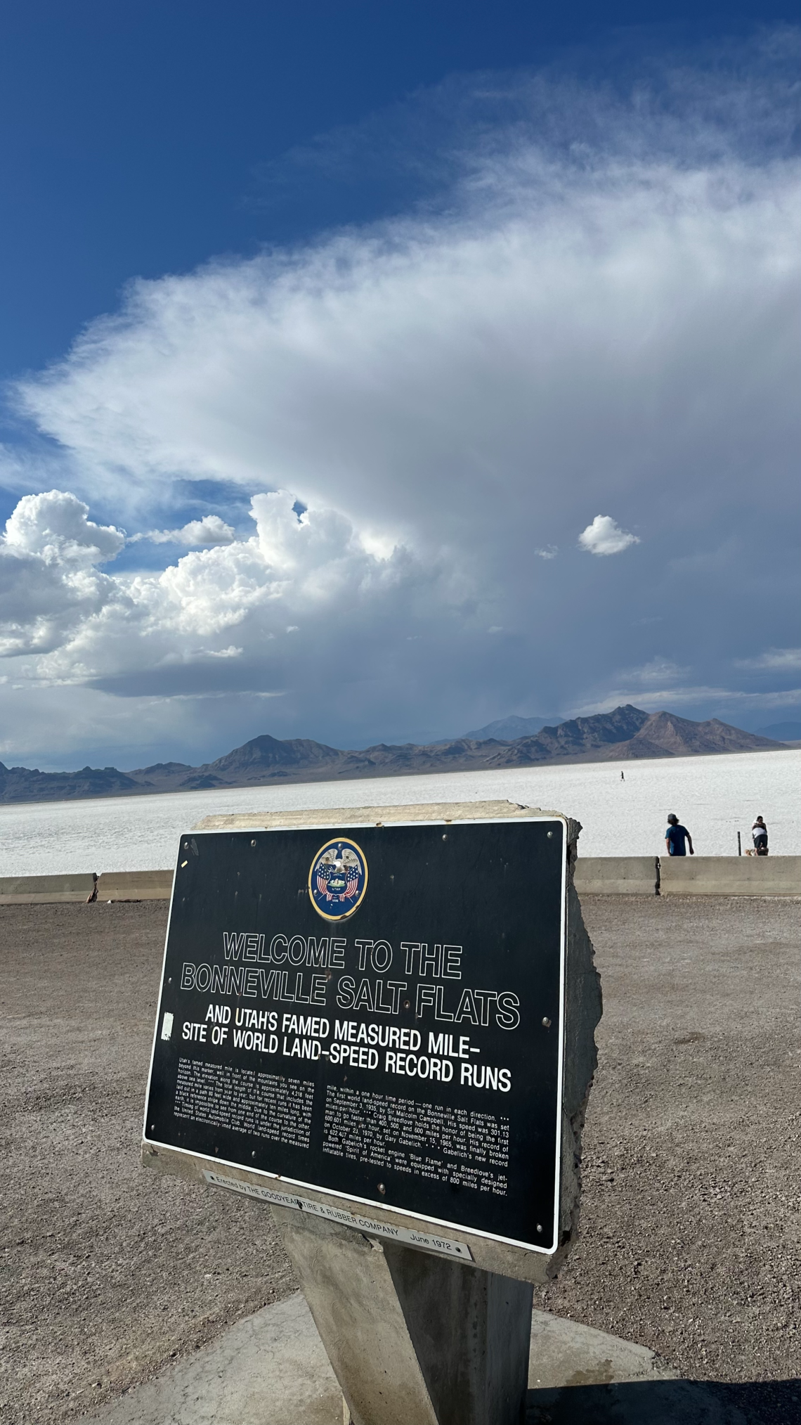 Kako se zaljubiti u Ameriku