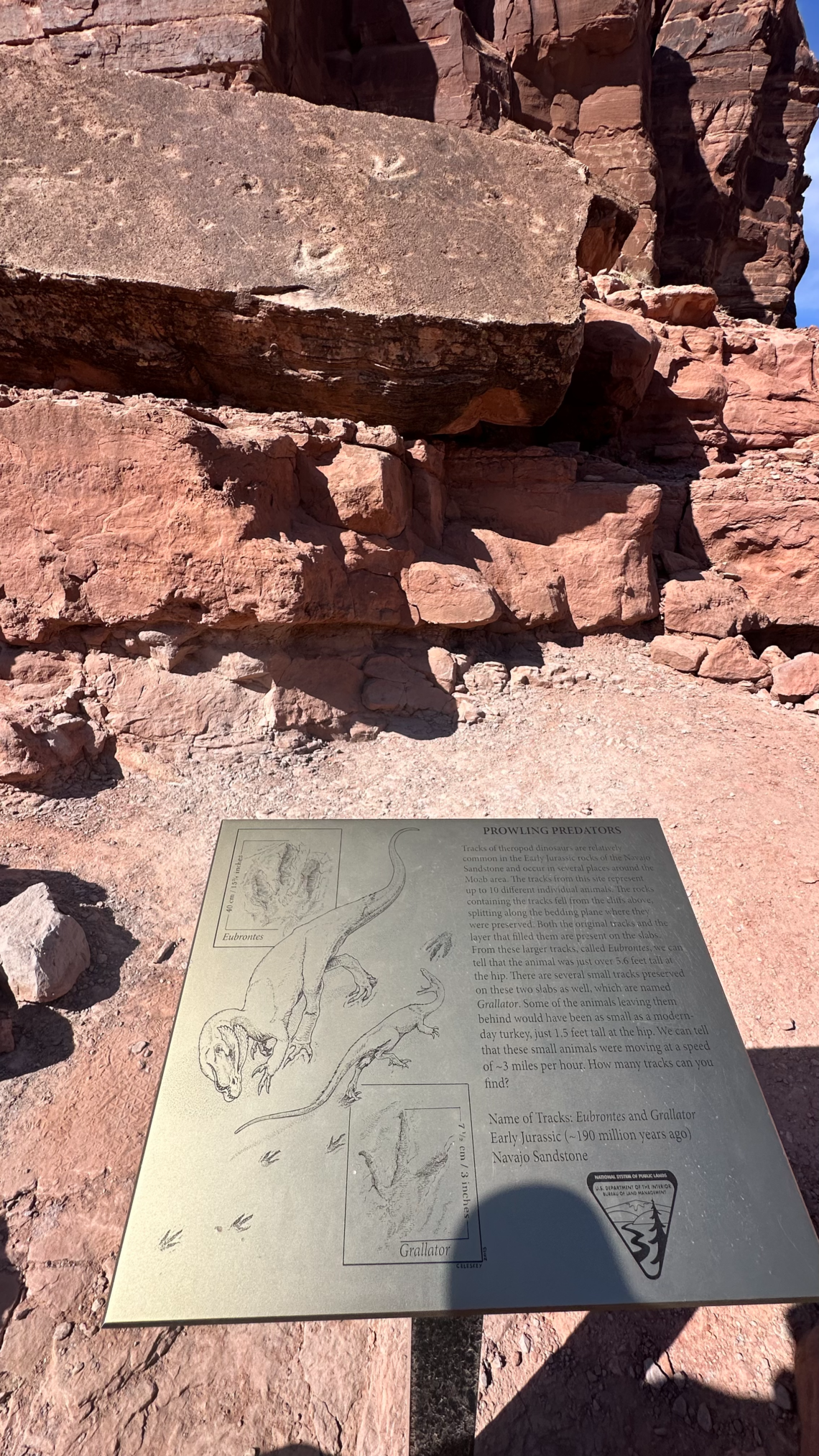 Kako se zaljubiti u Ameriku